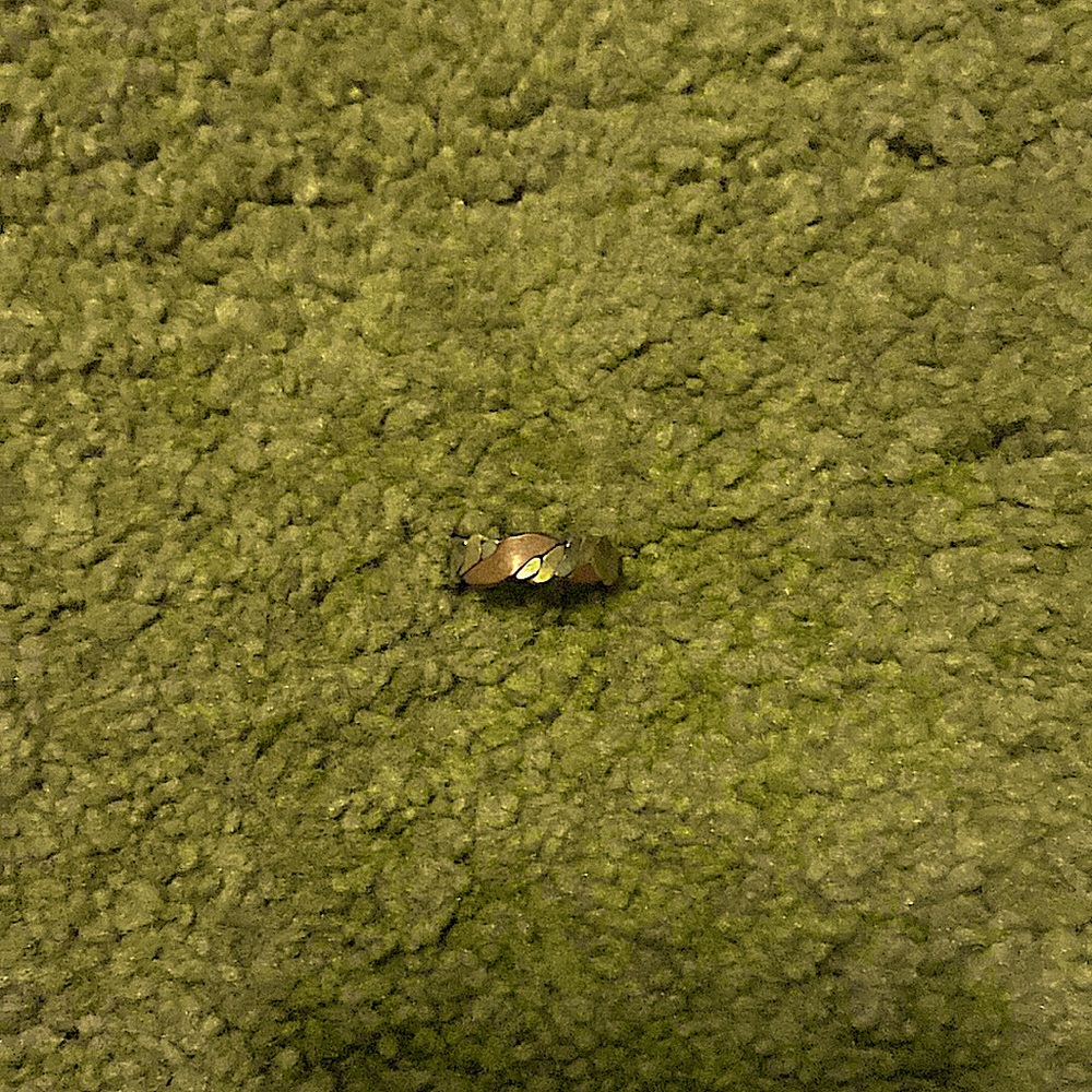 This is a copper ring from the renaissance fair that I went to!